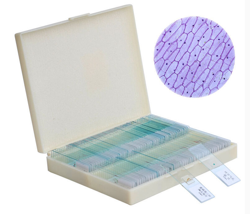 Professional-100PCS-Glass-Prepared-Microscope-Slides-Human-Tissue-Sections-Educational-Specimen-with-Plastic-Box